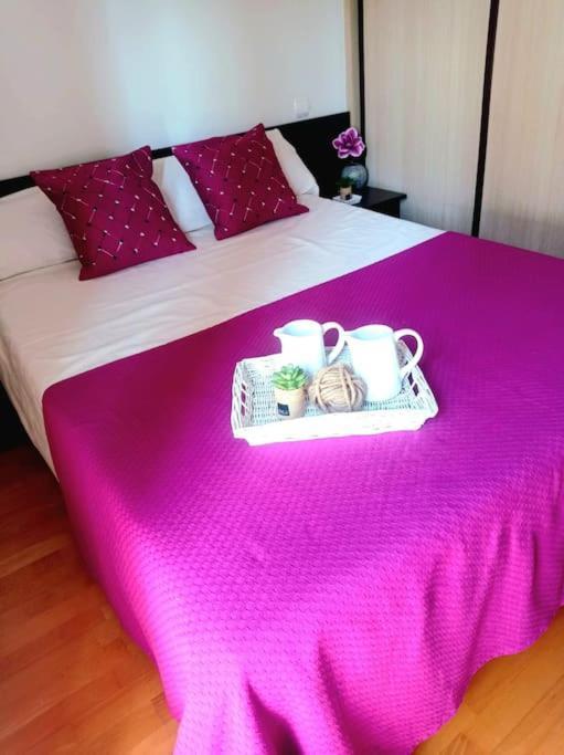 우에스카 Acogedor Apartamento Con Piscina Y Garaje 아파트 외부 사진